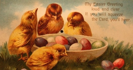 chicks
