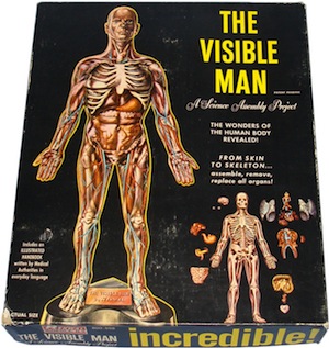 VisibleMan