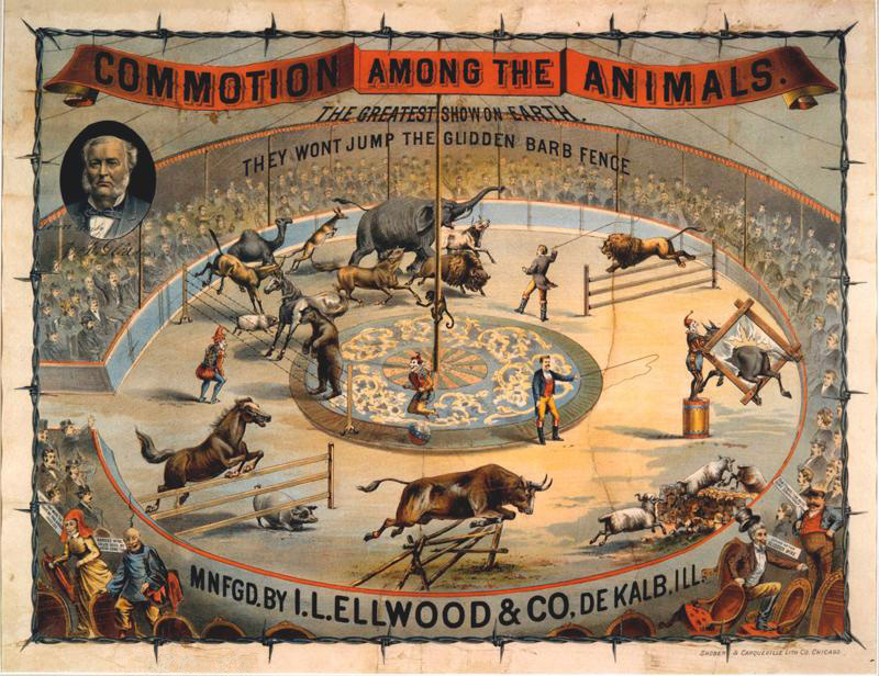 The effectiveness of barbed wire on animals, dramatized and set in a circus ring. Photo from the Ellwood House Museum.