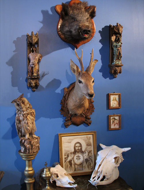 Aldo_03 Trophies displayed at Debaillie's apartment. Image via Ravishing Beasts.