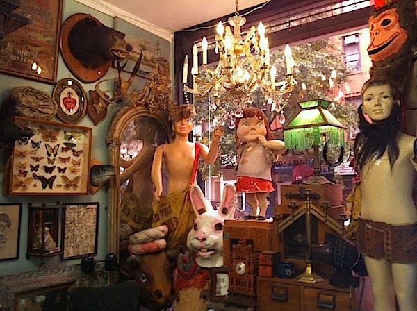 obscura-interior