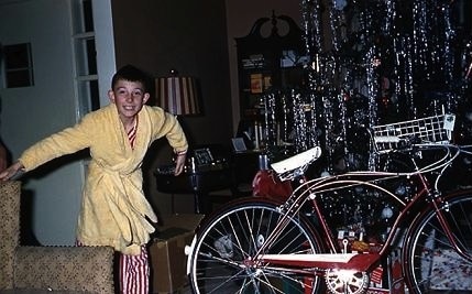 tree_bike