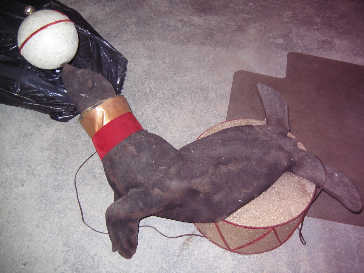 seal on on drum with white ball that spins around on his nose