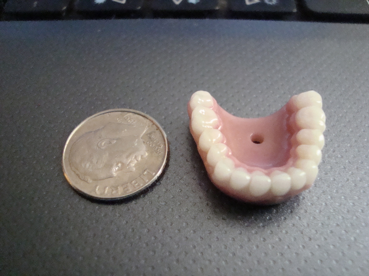 Is there such a thing as doggie dentures?