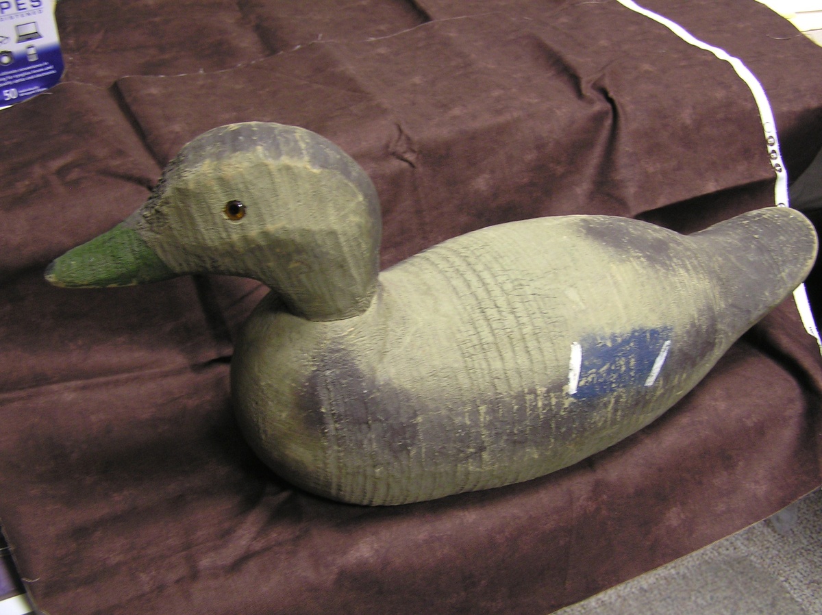 A Duck with a past, but from when?