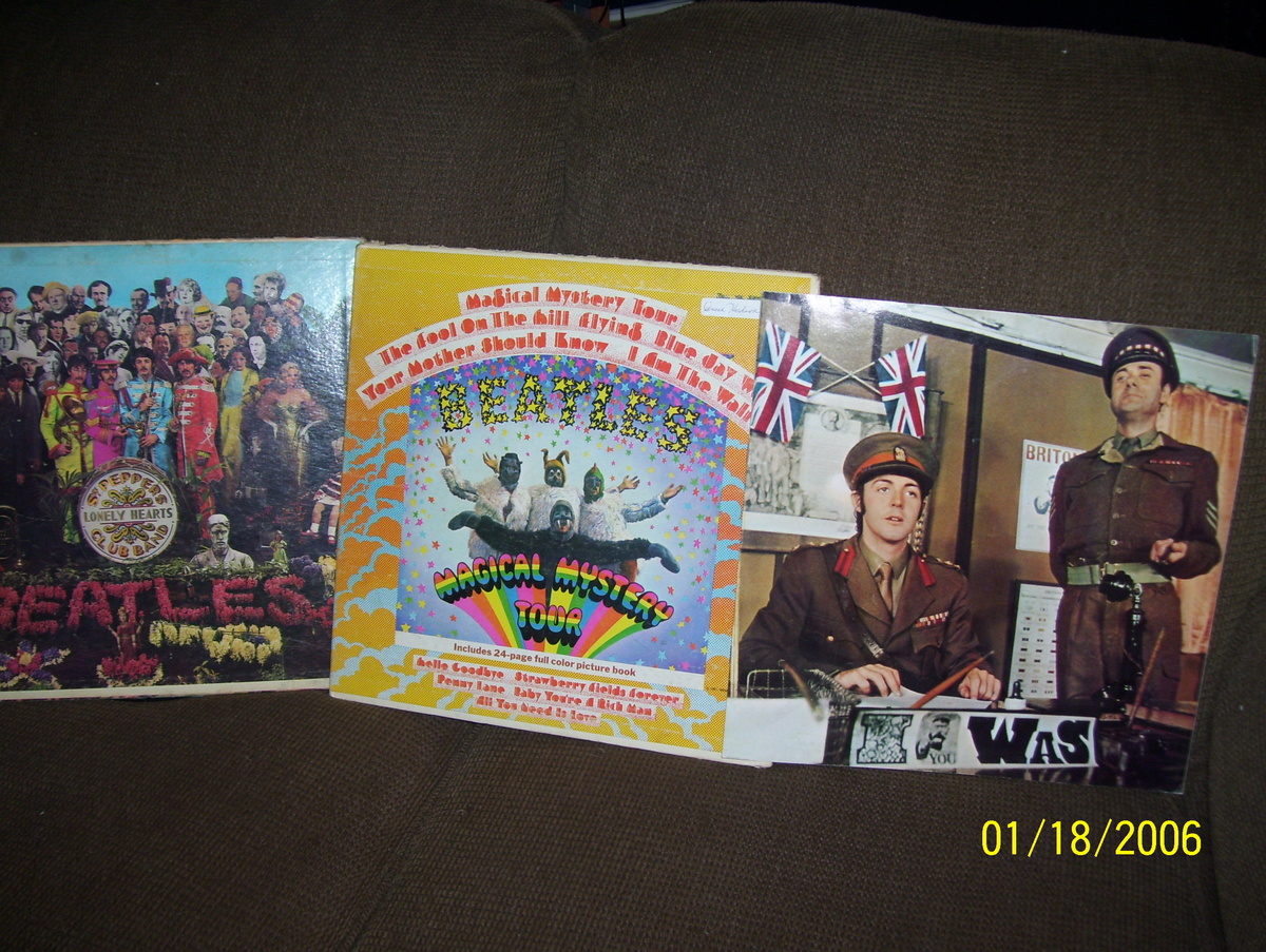 records beetles - Records