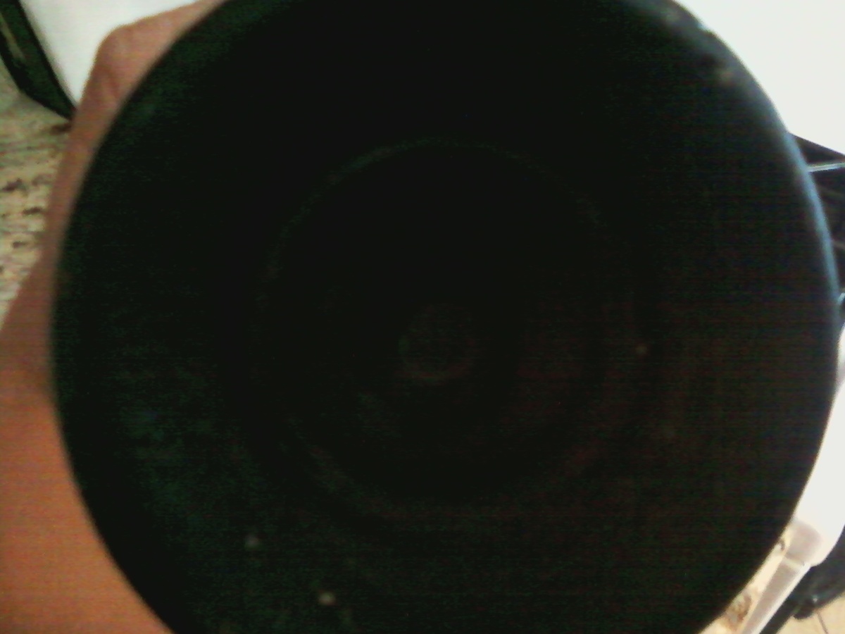 Isle Routan Honduras ship wreck find
