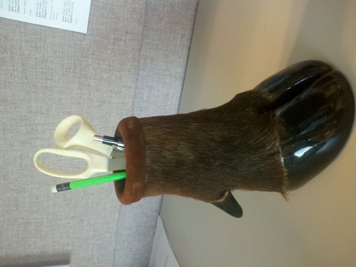 Real Cow Hoof Pencil Holder