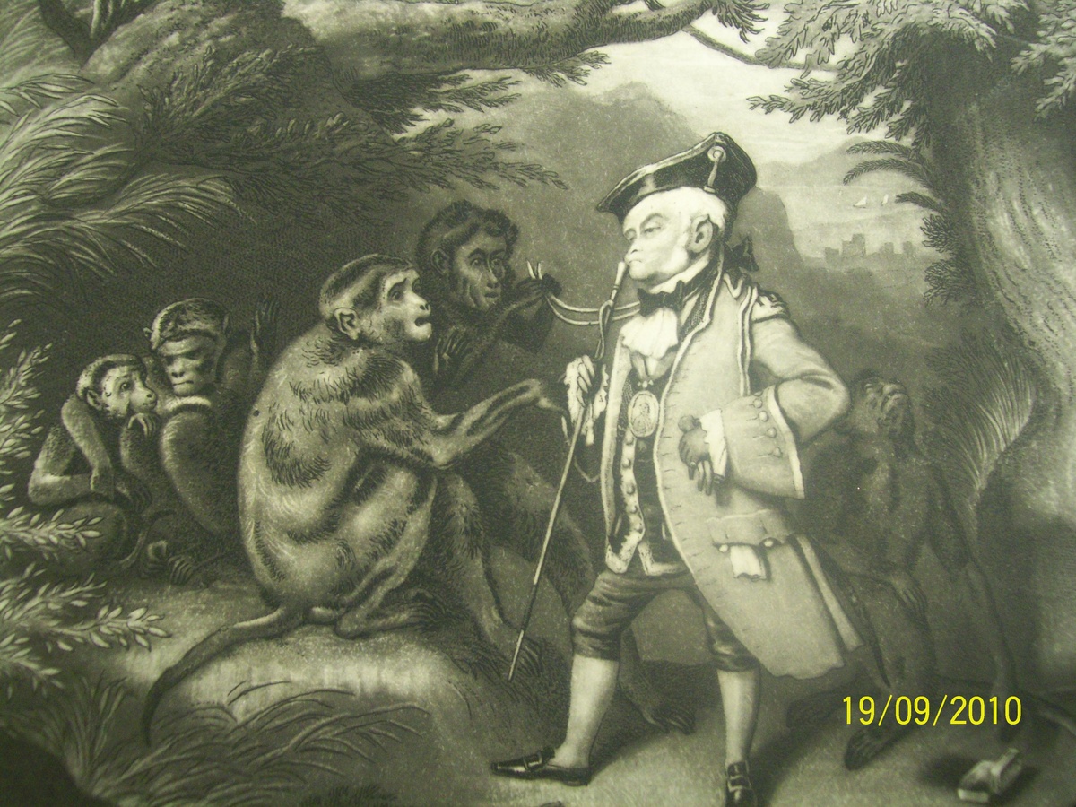 painted by e. landseer  engraved by j sartain the travelled monkey. sign Engraved for the Eclectic magazine. 1827-1872
