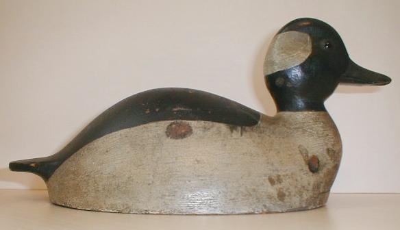 'Markham Rig' bufflehead drake, c. 1900
