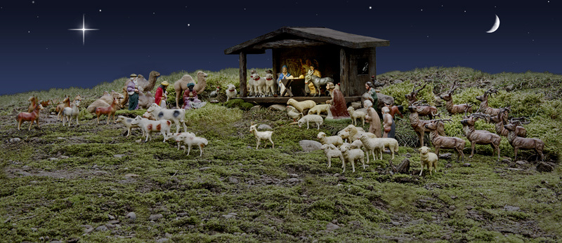 Christmas 2010 photo