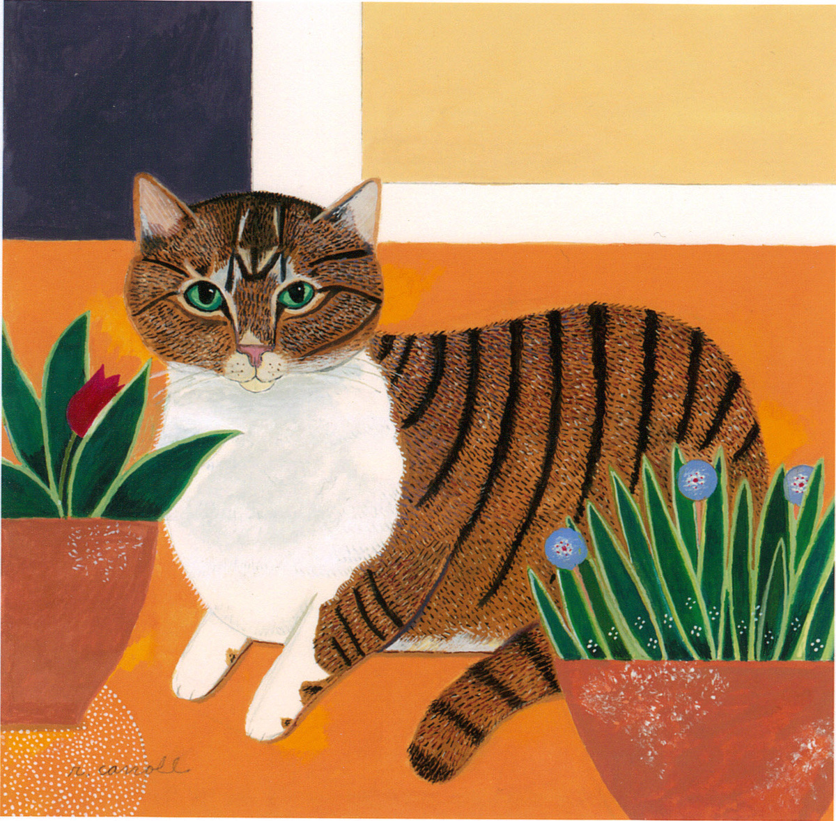My neighbor's cat, Sugar