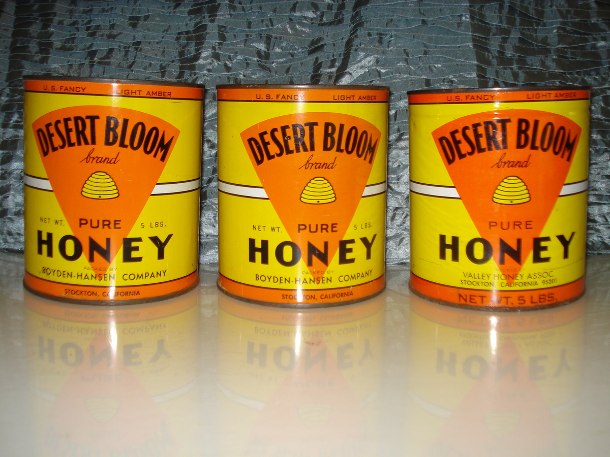 DESERT BLOOM PURE HONEY
