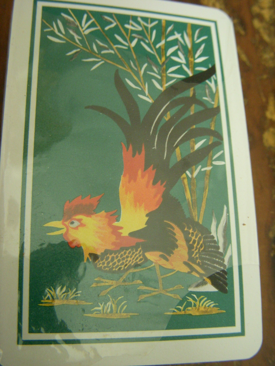 KEM Playing Cards Bird ID