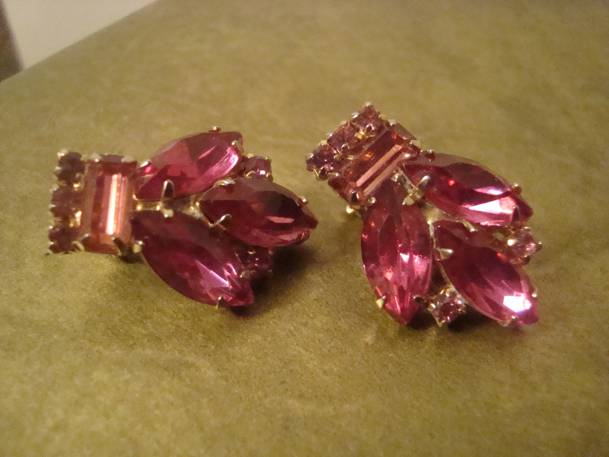 Pretty earrings - Costume Jewelry