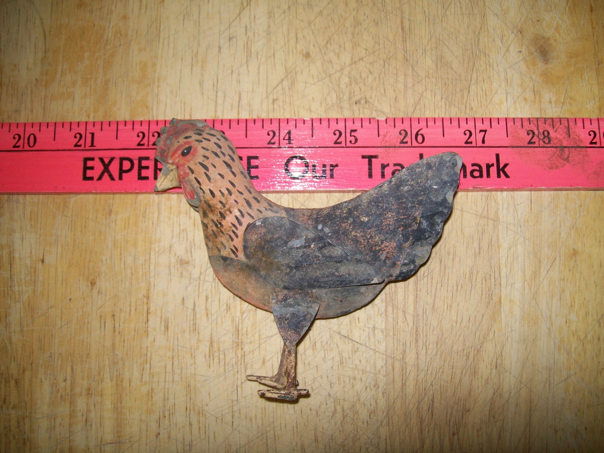 Old tin chicken? - Animals
