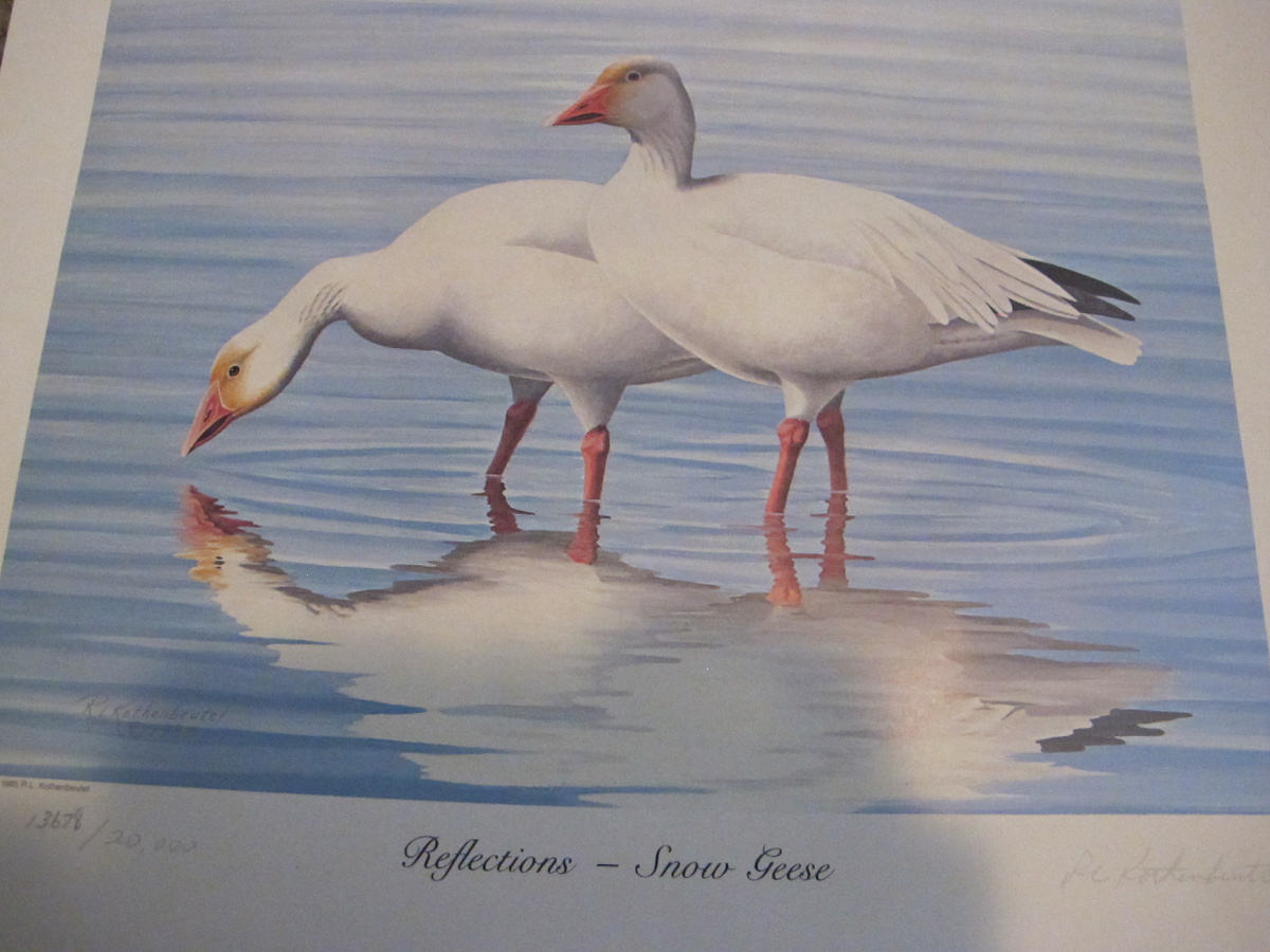 SNOW GEESE AND PINTAILS (A Painting in Limited Edition Print ) 