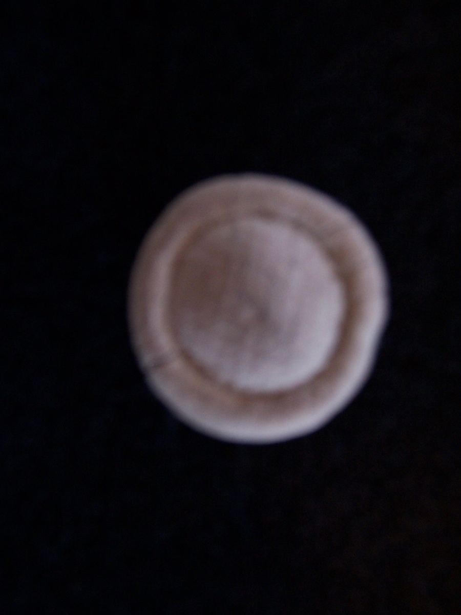 Old clay button - Sewing