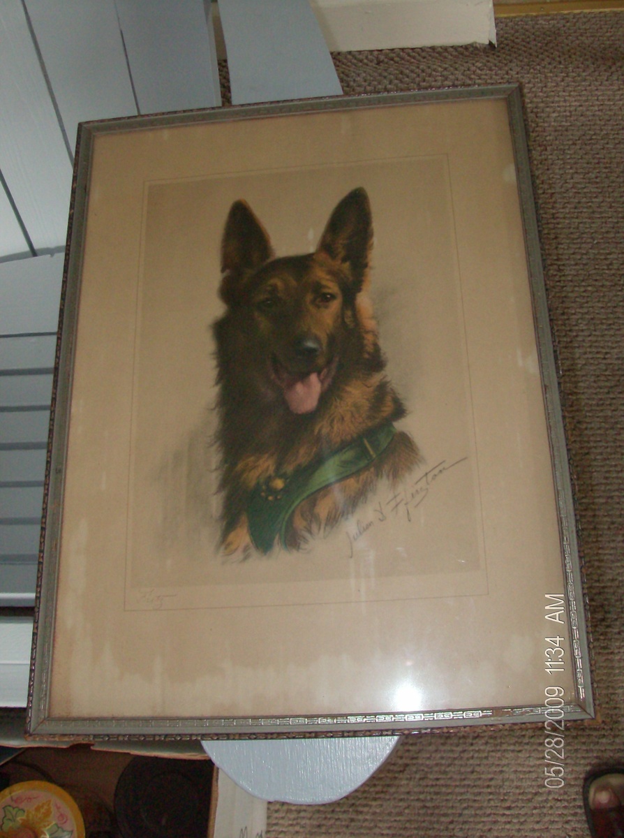 Pencil Drawing~Police Dog - Animals