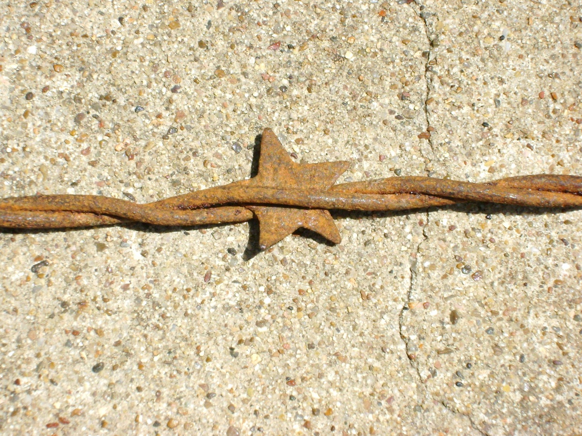 Barbed Wire Stars