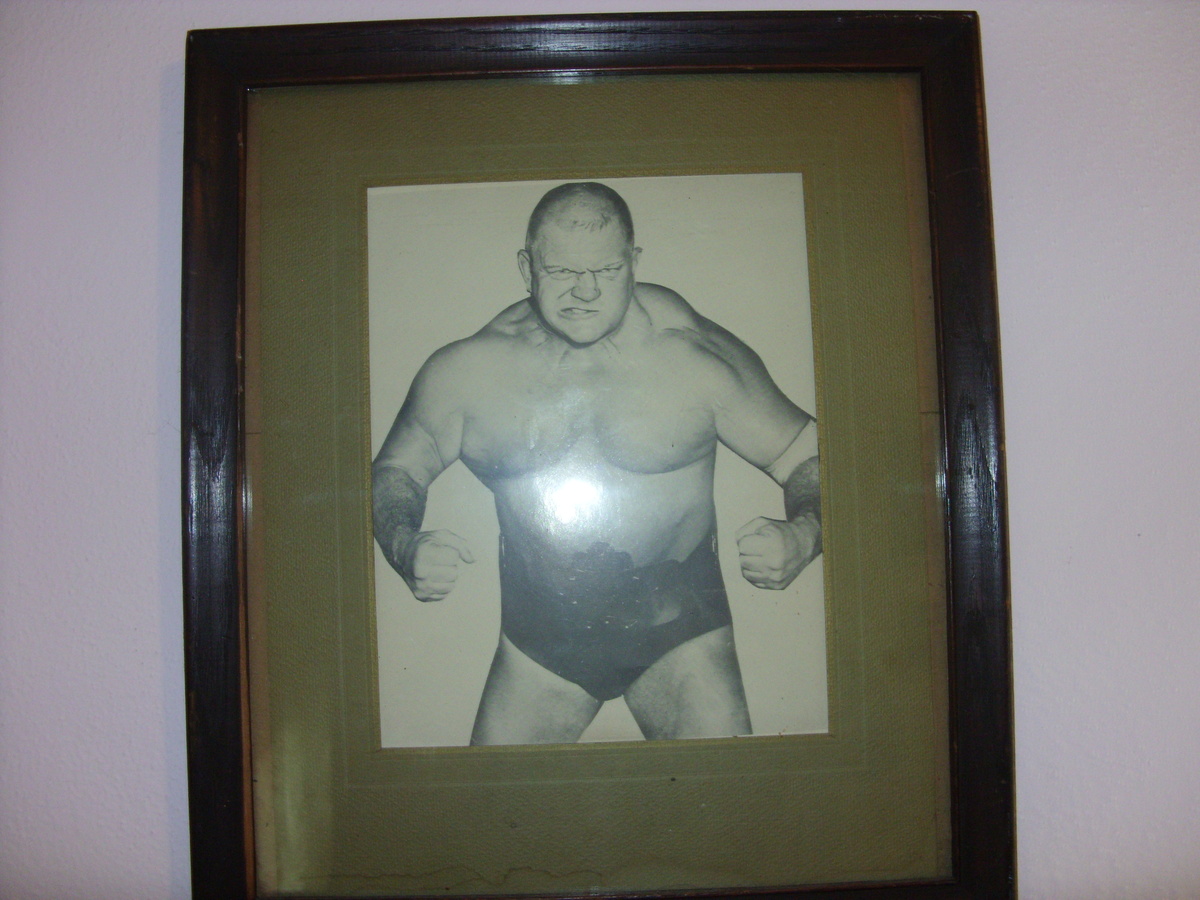 dick the bruiser
