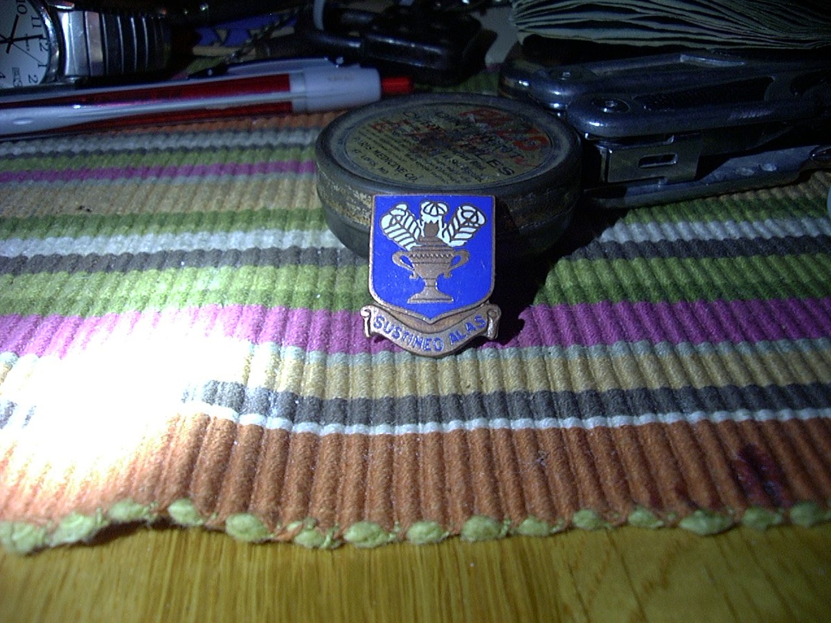 Unit insignia - Military and Wartime