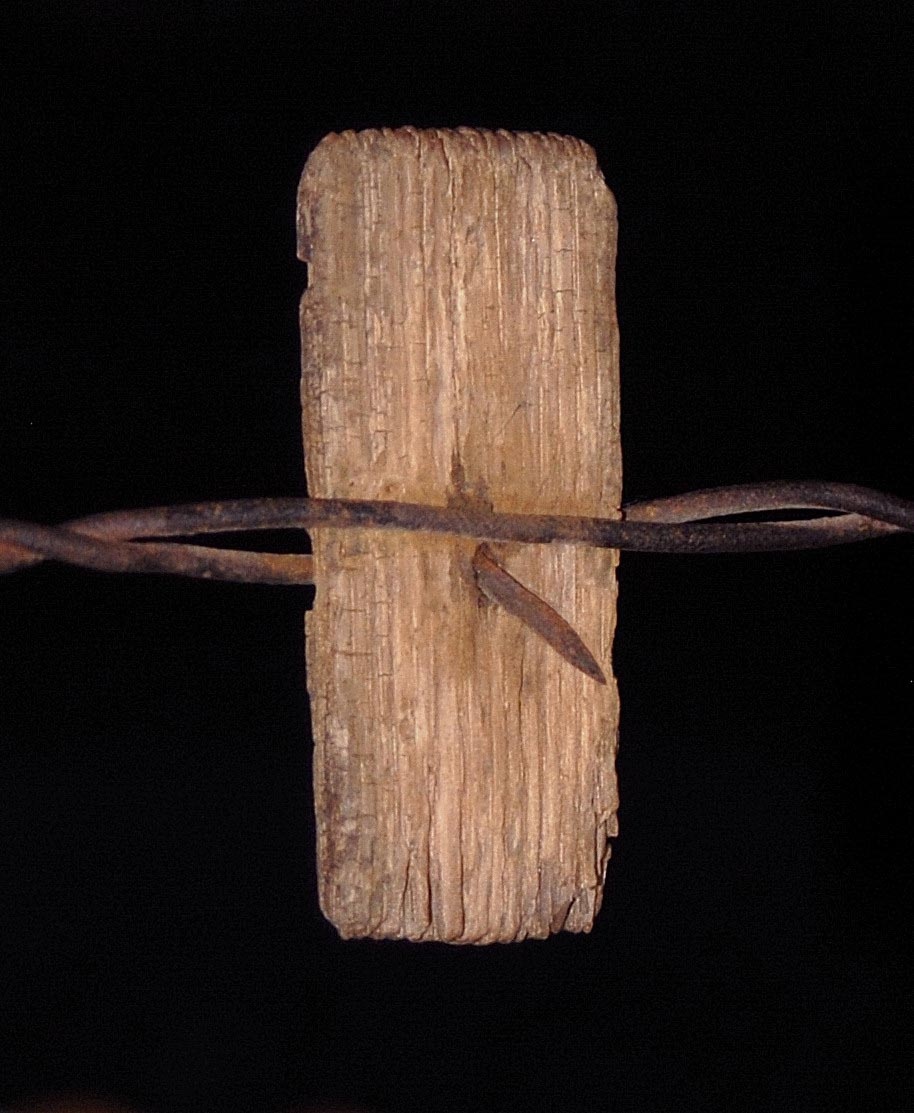 rare barbed wire