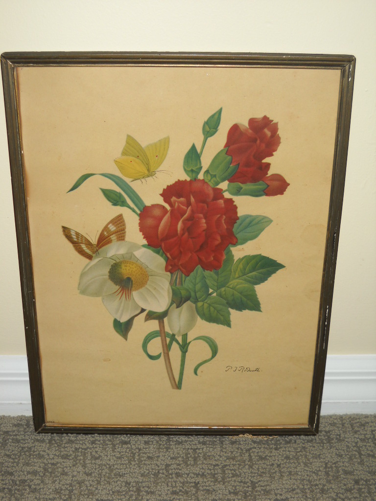 Botanical Prints