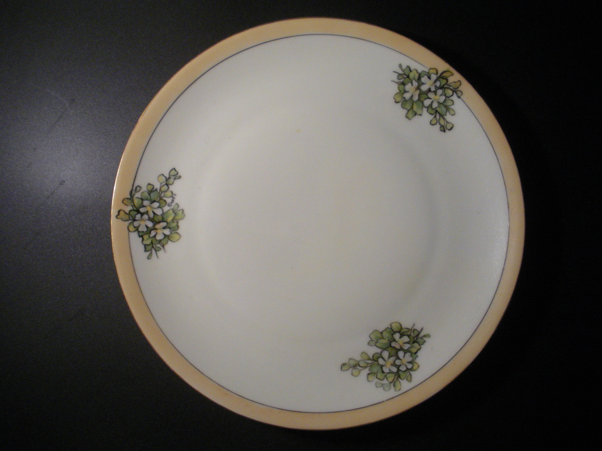 Hand Painted PLATE by Buchanan Studios ... 1910 era? ... Marked "Favorite Bavaria" (by C. Hutschenreuther Bavaria Germany) - China and Dinnerware