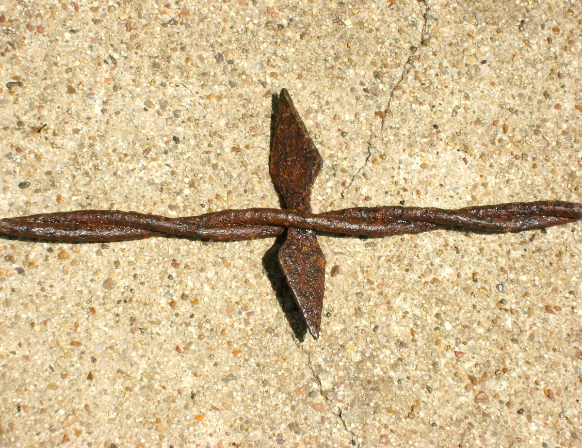 More Antique Barbed Wire