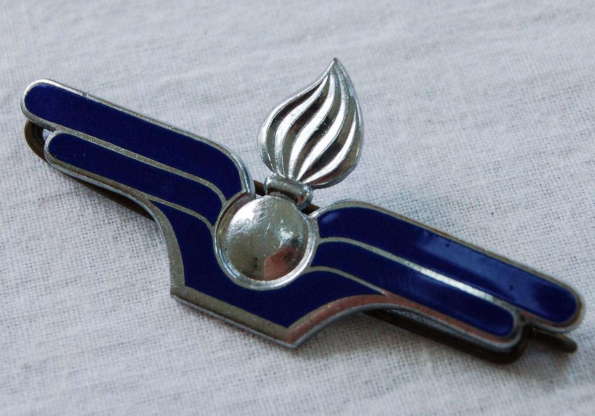 French Blue Enamel Torch Pin, Drago