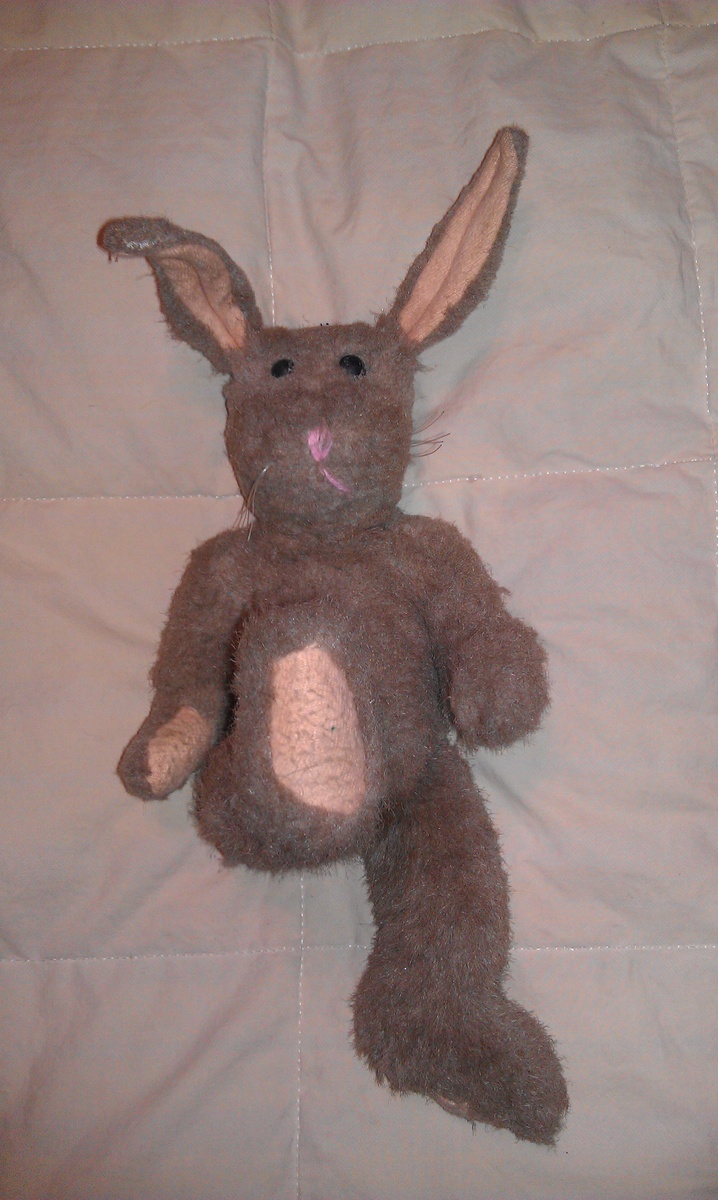 Help Identify this old Bunny.....  - Animals