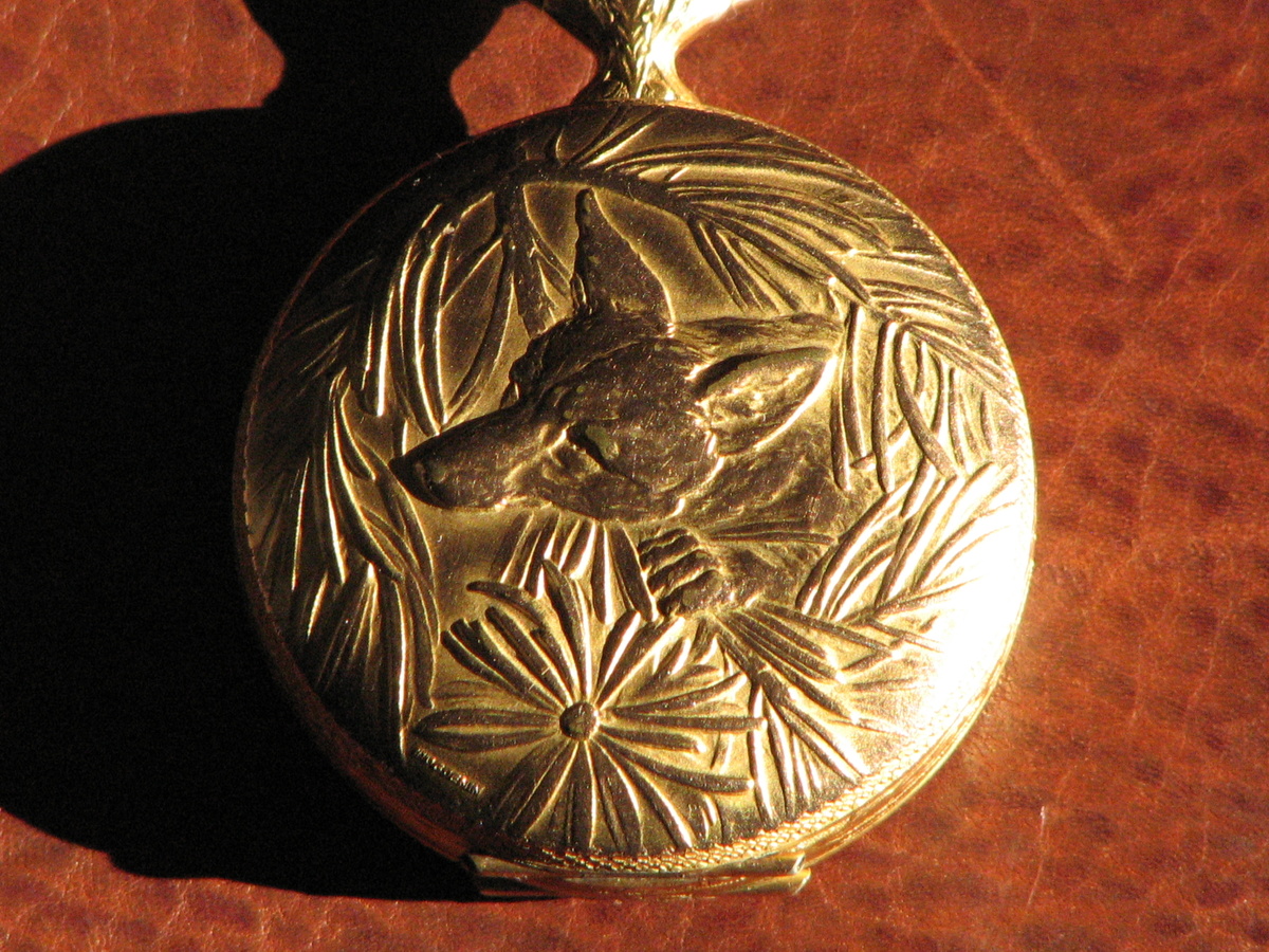 My 8-Day Fox Hunt Pocket Watch - Pocket Watches