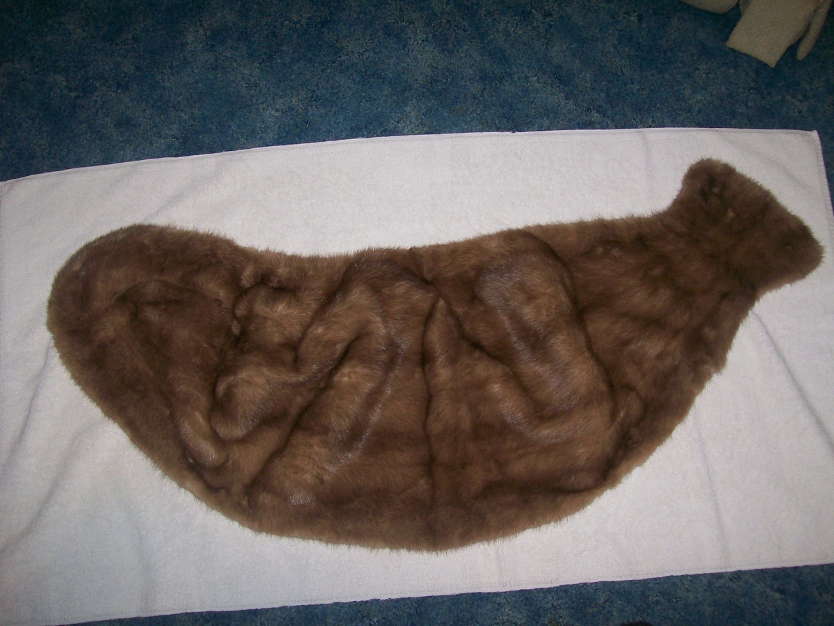 Mink stole Blums Vogue Chicago - Womens Clothing