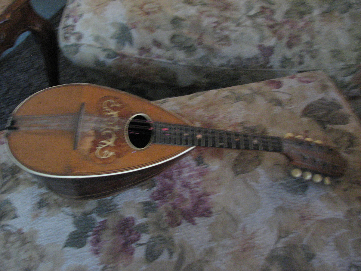 Can anyone tell us about this mandolin?