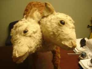 My Double Headed Calf....Bipolar Betty