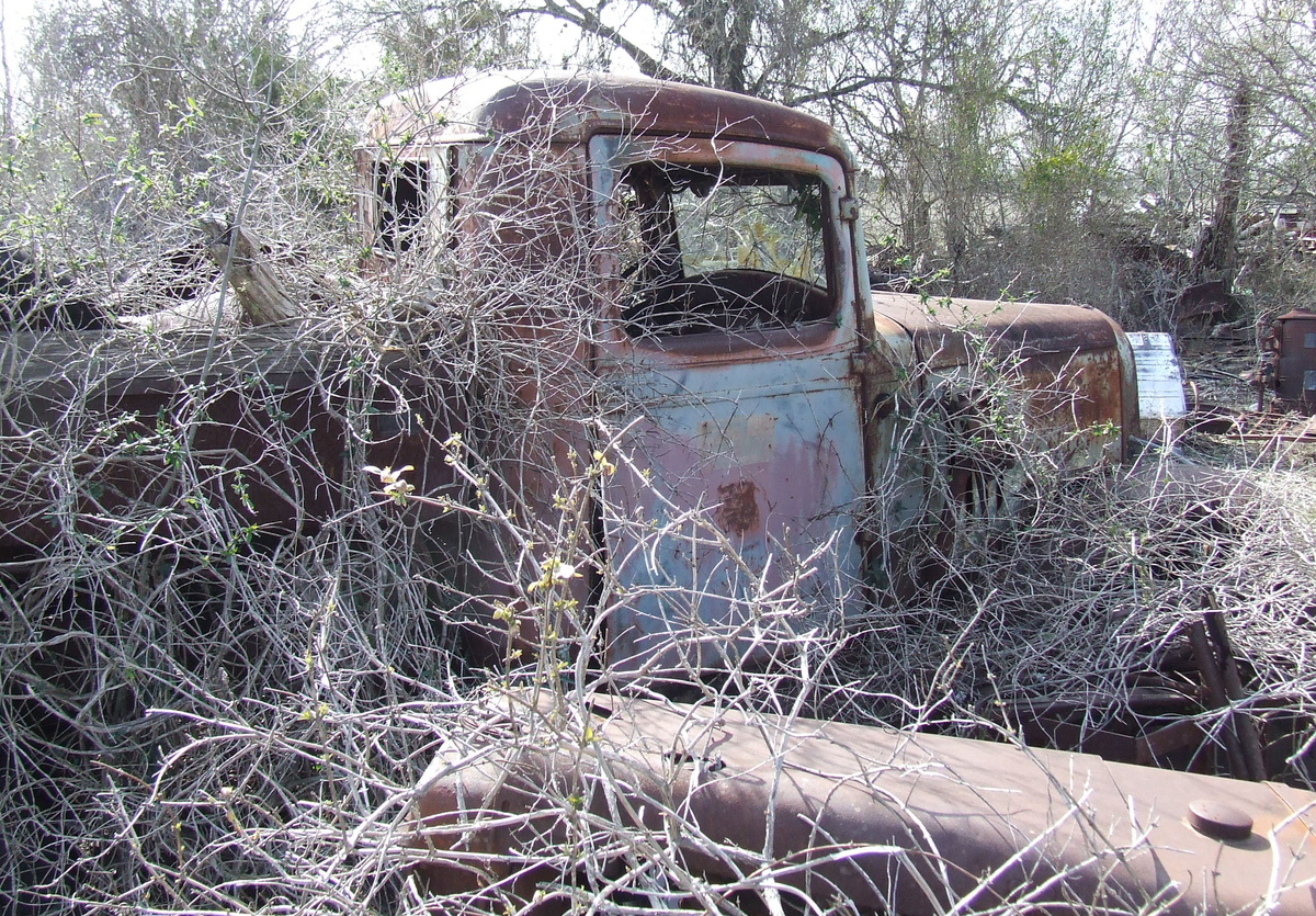More Stuff From Behind The Old House - Ford Cars