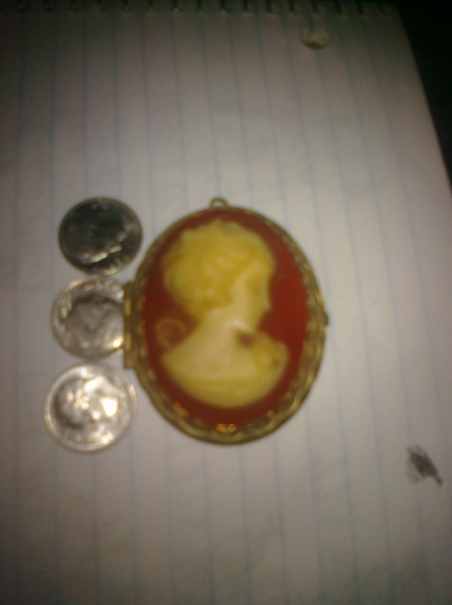 Cameo Broch and Locket 