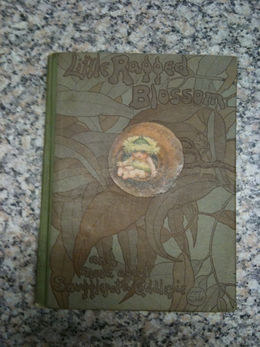 Little Ragged Blossom & more about Snugglepot & Cuddlepie.