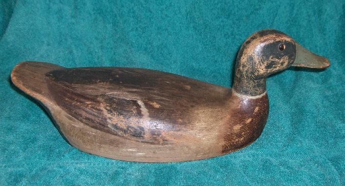 W H Hart mallard drake, c. 1920