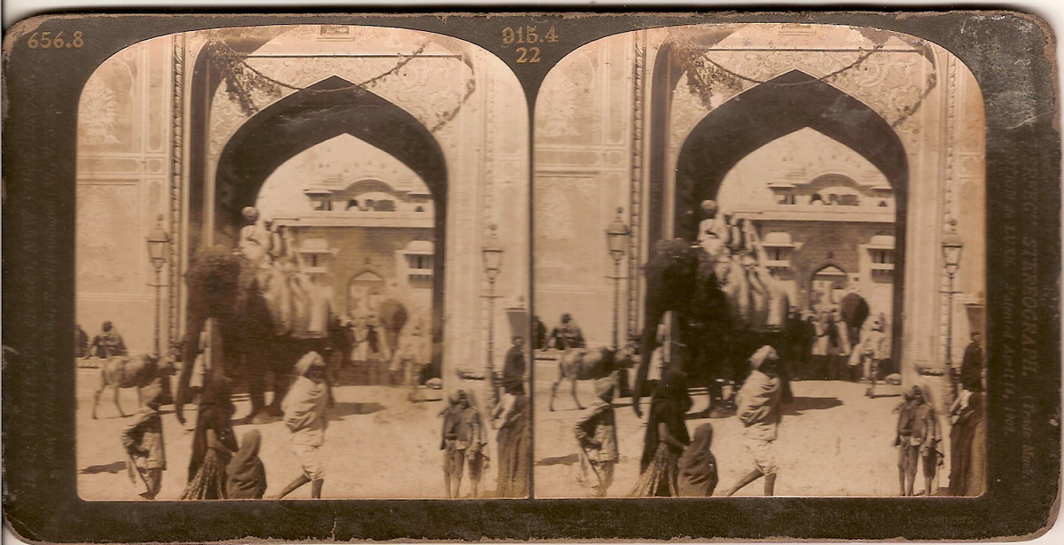 Elephant stereoscopic picture