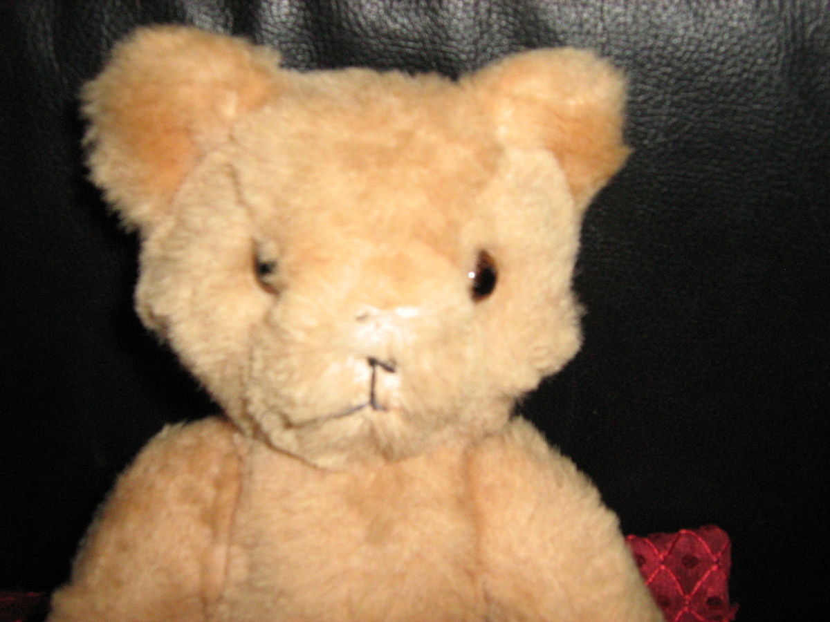 Vintage Teddy Bear
