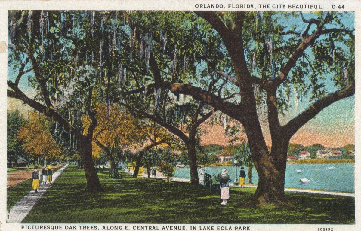 ORLANDO - THEN - Postcards