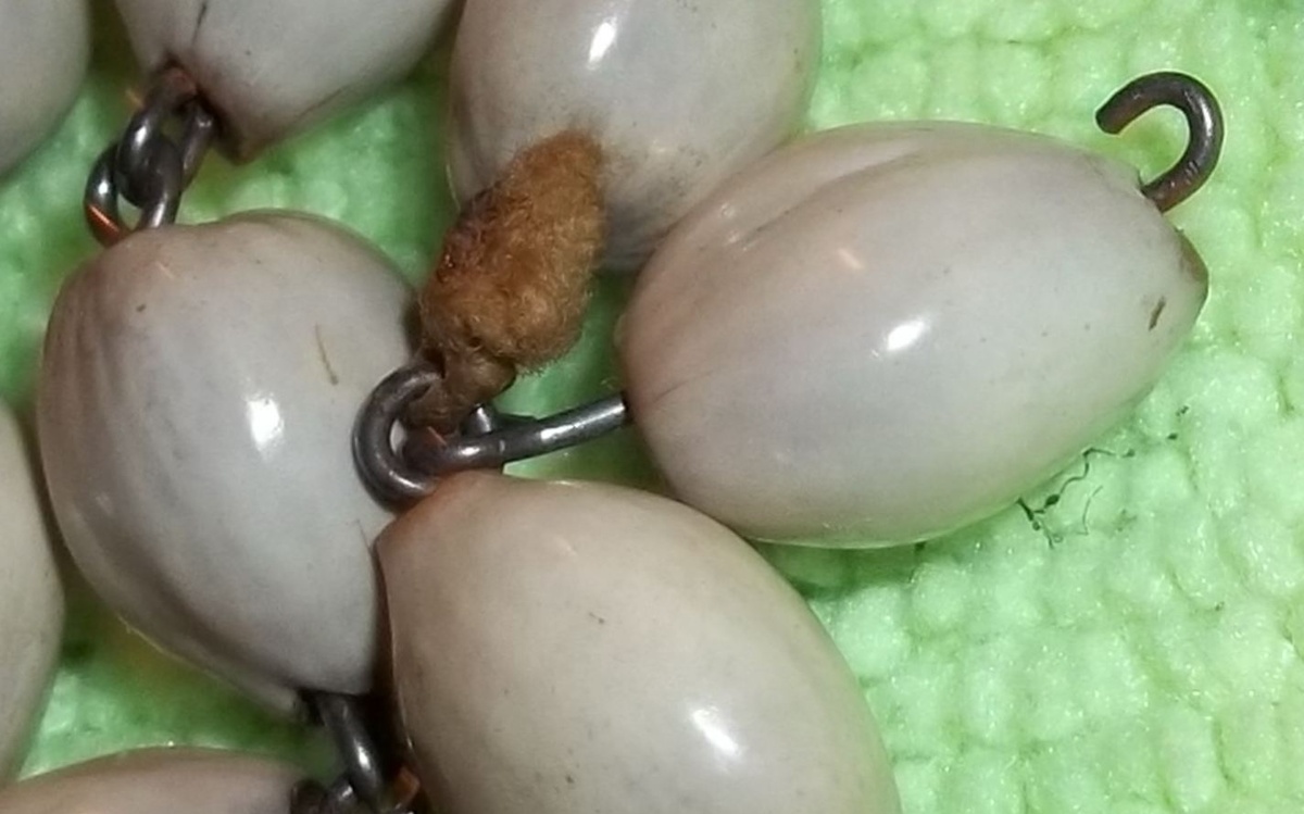 Seeds before beads