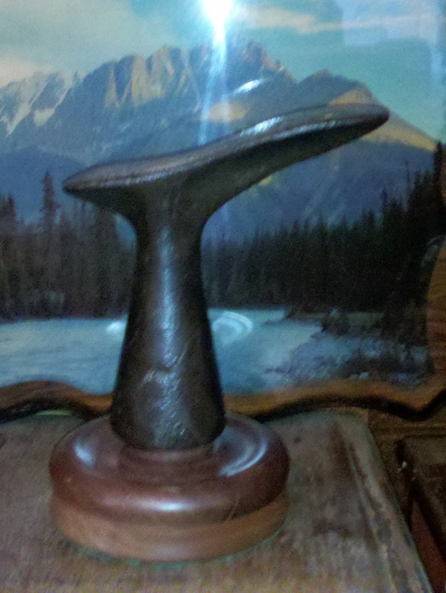 Cast Iron Shoe Repair Thingy