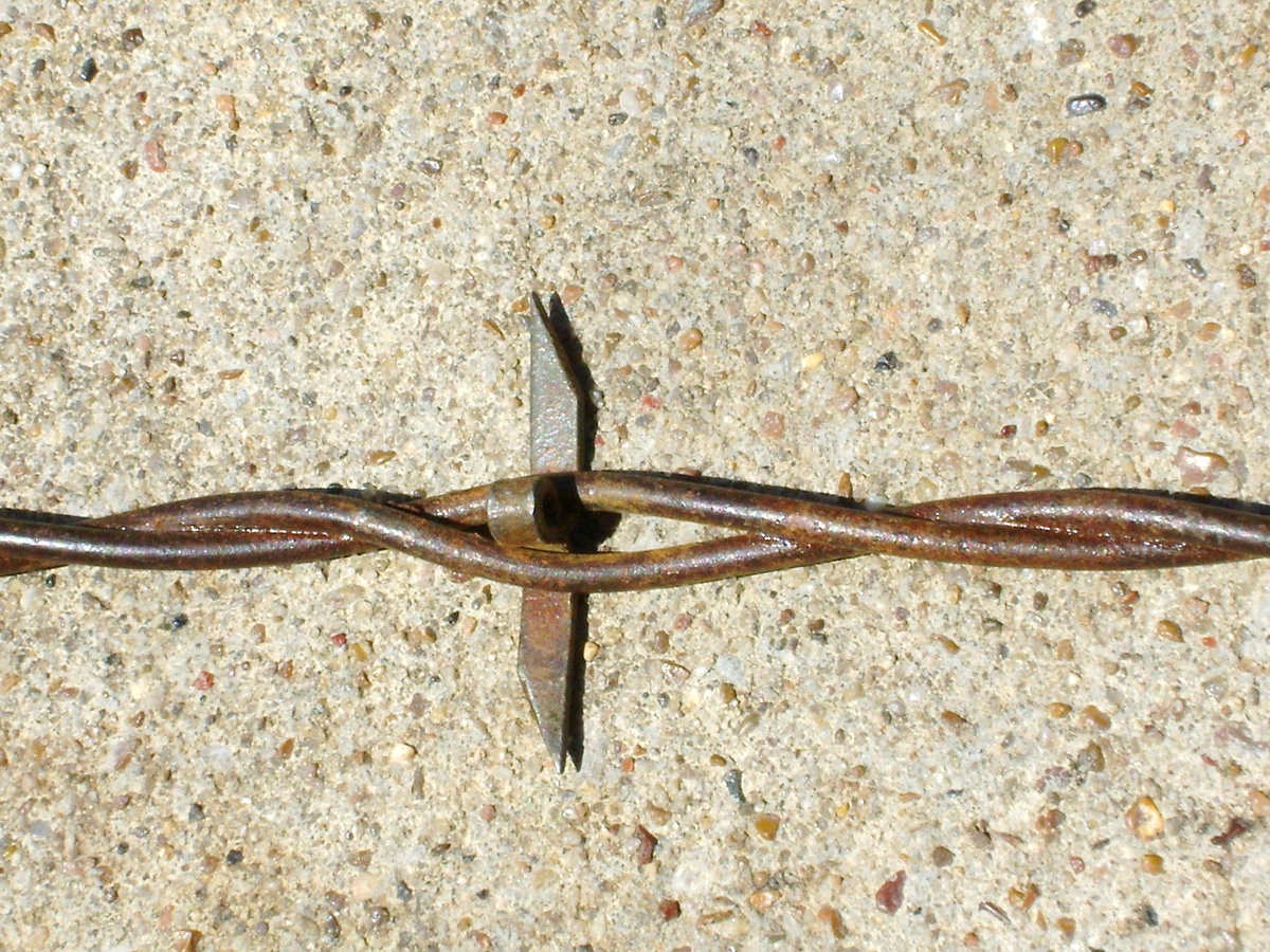 Antique Barbed Wire 