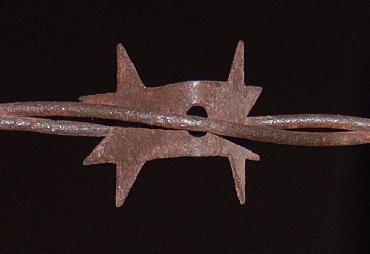 Rare Barbed Wire