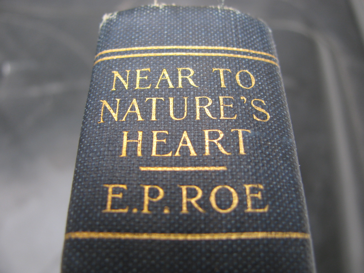 1876 Book by E.P. Roe - Books