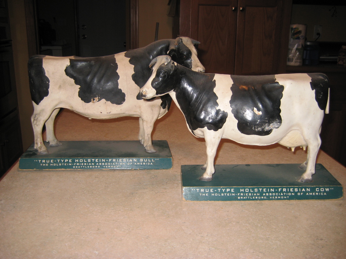 "True-Type Holstein-Friesian Cow and Bull" - Advertising