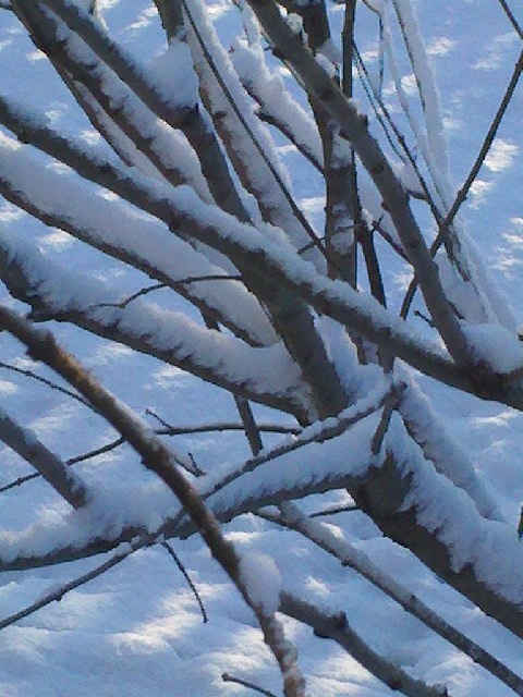 not antique, vintage OR collectible...just fresh snow